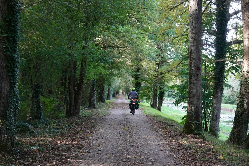 Le long de l'ancien canal latéral à la Loire